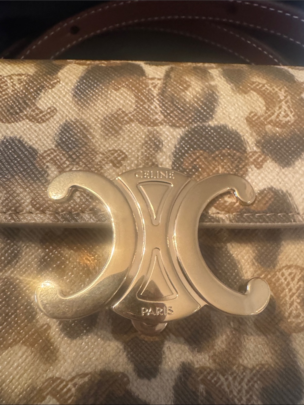 Celine Leopard-Print Triomphe Mini Bag in Gold - Picture 5 of 5